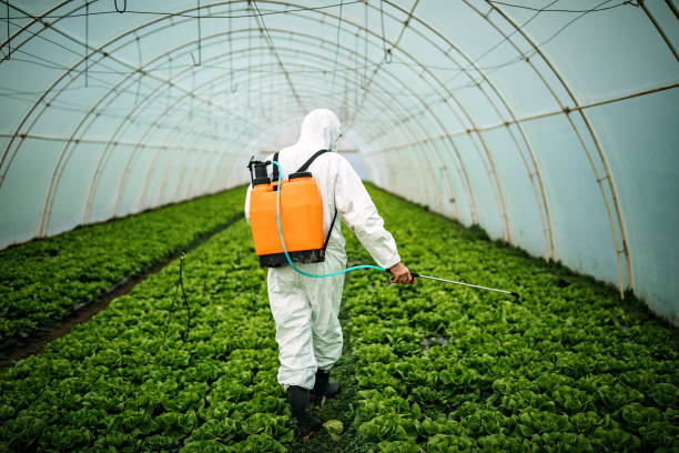 Best Pest Control Cost  in Allardt, TN