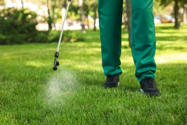 Best Bed Bug Extermination  in Allardt, TN