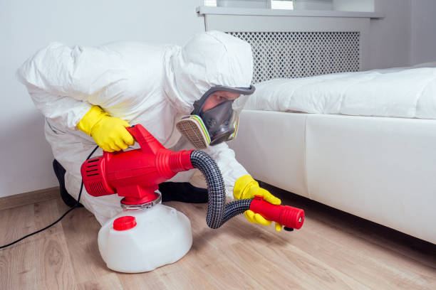Best Affordable Pest Control Services  in Allardt, TN