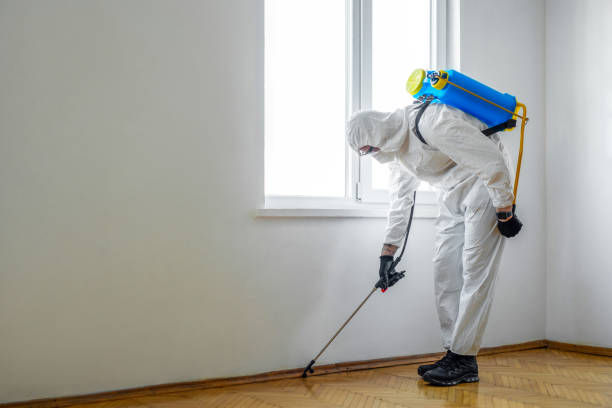 Best Wasp Removal Services  in Allardt, TN