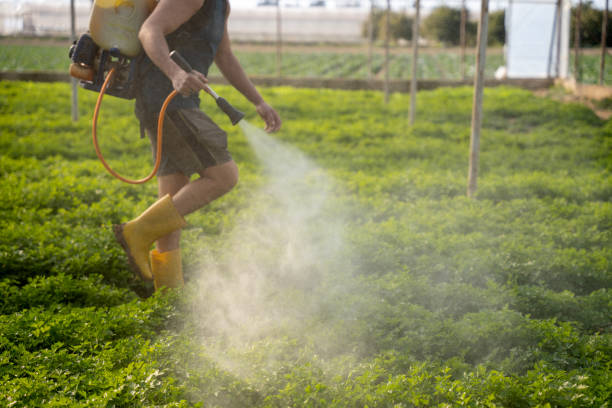 Best Commercial Pest Control Services  in Allardt, TN