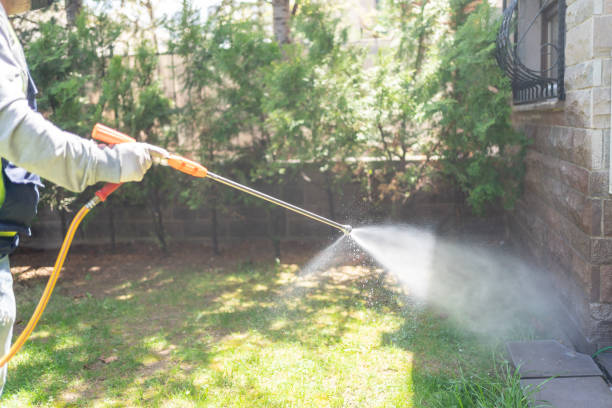 Best Best Pest Control Companies  in Allardt, TN