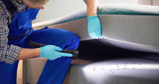 Best Emergency Pest Control  in Allardt, TN