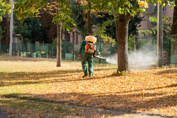 Best Cockroach Control Services  in Allardt, TN
